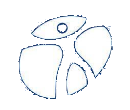 Page Logo